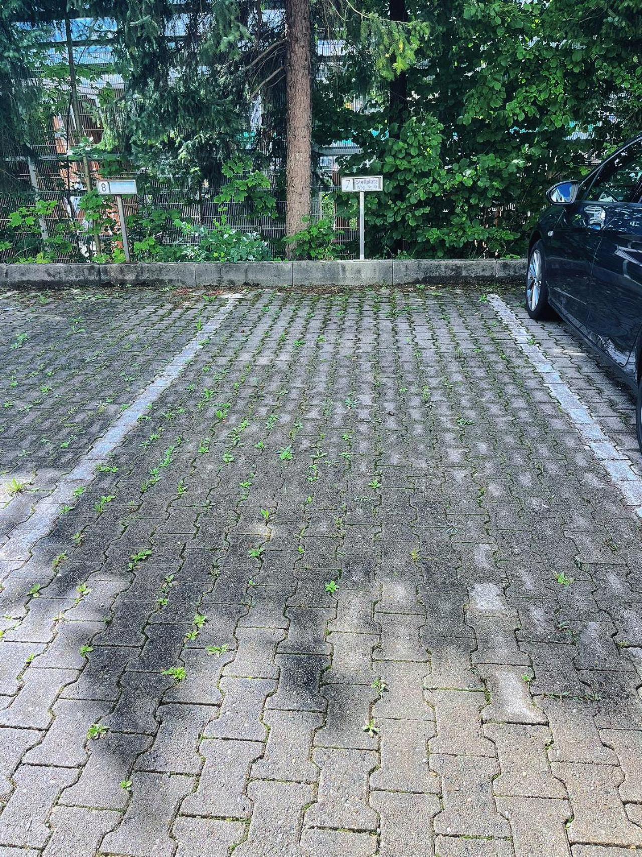 Grosszuegige Wohnung, Bergblick, Vintage Sonthofen Eksteriør bilde